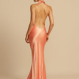 Vestido de Festa Longo de Cetim com Gola Drapê – Aphrodite VIEUX OFICIAL